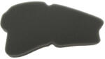 MIW Filtru de aer MIW pentru SYM Mio 50 2006-2015, SYM Mio 100 2006-2013 (126289)