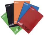  Registru A4, dictando, 96 file, diverse culori (DL100) - forit