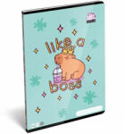  ICO: LizzySuli Lollipop Capybara mintás kockás füzet A/4 27-32 (7500165000-582649)