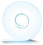 IBIZA LIGHT & SOUND Banda Neonflex 5M IP65 6000K (NEON500-CW) - global-electronic