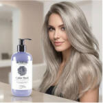 Shot Masca coloranta pentru par Design Look - 300 ml -BLOND CENUSIU (DLPEL402966)