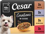 Cesar Creations hrană umedă câini adulți, mix 4 arome 12x100 g