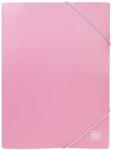 Biro Time Dosar cu elastic Biro Time Mapp - A4, roz (131012)