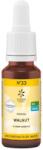 Lemon Pharma Esență colorată Walnut N°33, 20 ml, Lemon Pharma