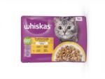 Whiskas Mars WHISKAS tasak macskáknak Szárnyas válogatás csirke & kacsa & pulyka zselében 4 x 85 g