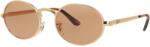 Ray-Ban RB 3931 001/53 54 Ochelari de citit