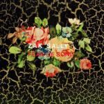 Zak Sally's Fear Of Song - Why We Hide (LP) (0098787084771)