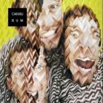 Cheveu - Bum (LP) (3521381528336)