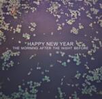 Happy New Year - The Morning After The Night Before (LP) (8721018002337)