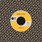 Dressel Amorosi - Synthporn (LP) (0652733590664)
