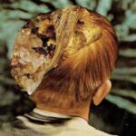 Zëro - Places Where We Go In Dreams (Limited Edition) (LP) (3700398710761)