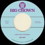 Holy Hive - I Don't Envy Yesterdays / Color It Easy (7") (0349223011616)