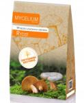 Mycelium Ryz Tej Ryz gomba micélium XXL (Grzybnia Rydze 120ml)