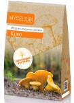 Mycelium Csirkék Ehető Bors Csirke gomba micélium XXL (Grzybnia Kurki 120ml)
