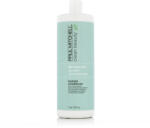 Paul Mitchell Clean Beauty Hydrate Conditioner 1000 ml - vince