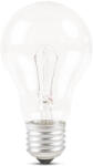 Total Green Bec incandescent 60W E27 24V (EL0030743)