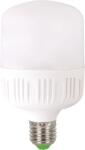 Total Green Bec led 40w e27 6500k (EL0038668) - energodepot