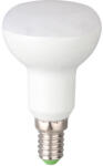 Total Green Bec LED spot R39 4W E14 5000K (EL0056822) - energodepot