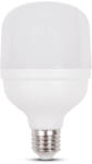 Novelite Bec LED 30W E27 6400K T100 (EL0081028)