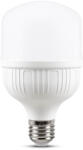 Total Green Bec LED 80W E40 6500K (EL0068383)
