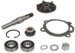 THERMOTEC Set reparatie, pompa apa THERMOTEC WP-MF119 (WP-MF119)