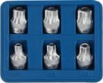 HINODE Set de biți M10 - M20, 6 buc. HK0912 (HK0912) Set capete bit, chei tubulare