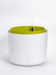 Plastia Ghiveci Berberis de 55 cm, alb+verde, cu auto-udare U170539 (U170539)
