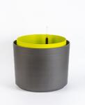 Plastia Ghiveci Berberis de 55 cm, antracit+verde, cu auto-uridare U170524 (U170524)
