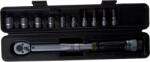 CHAIN BIN Cheie dinamometrică 3/8" cu capete tubulare 418-1100N (418-1100N)