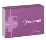  Peagastril, 15 capsule, Naturpharma