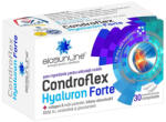  Condroflex Hyaluron Forte, 30 Comprimate, Helcor