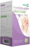 Pharco Pharcollagen, 12 plicuri, Pharco (6221076012009)