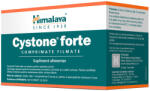  Cystone Forte, 60 comprimate filmate, Himalaya