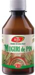 Fares Muguri de Pin sirop, R12, 250 ml, Fares (5941141001202)