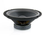  Difuzor 10 inch Master Audio CW1000-8, 8 ohm