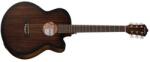  Chitara Electroacustica Harley Benton Delta Blues MJCE