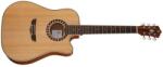 Harley Benton Custom Line CLD-1048SCE NS