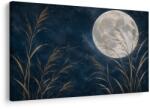 Dovido Tablou noapte cu lună în stuf auriu - 90x60