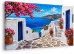 Dovido Tablou uliță de coastă cu flori roz - 120x80