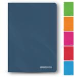 COLORATE Caiet scolar A4, 80 file, coperta PP, dictando, COLORATE (C4253)