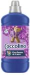 Coccolino Purple Orchid & Blueberries 1,275 l