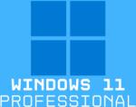 Microsoft Windows 11 Professional (HAV-00163)