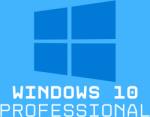 Microsoft Windows 10 Professional (HAV-00121)