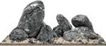  WIO WIO Ryuoh Shine River Kit - set de aquascaping BOX
