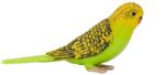 Mojo Figurina Mojo, Perus Verde Figurina