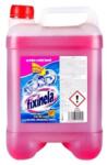 Fixinela Soluție de curățat lichid pentru WC Fixinela 5000 ml (roz)