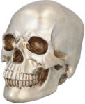  Shine koponya (26 x 18 x 23 cm) (73090)