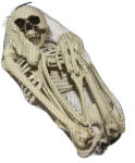  83 cm-es csontváz dekoráció halloweenre (HKS8557LDLK)