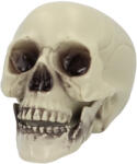  Whisperbone koponya (15 x 20 x 16 cm) (74340)