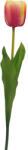  Szálas - Tulipán (52cm) - Sárga-rózsaszín #1